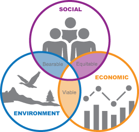 The Sustainability of Mineral Resources