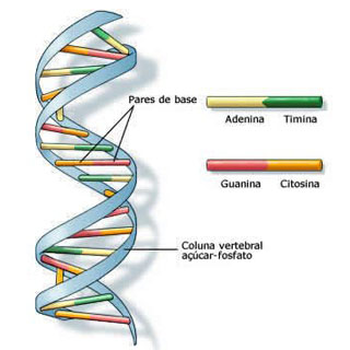 Your DNA could be found where you’ve never has gone